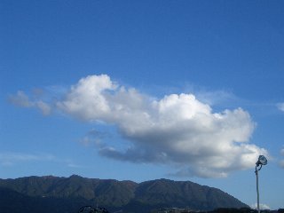 b0061107_13512281.jpg