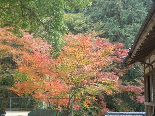 b0061107_1404991.jpg