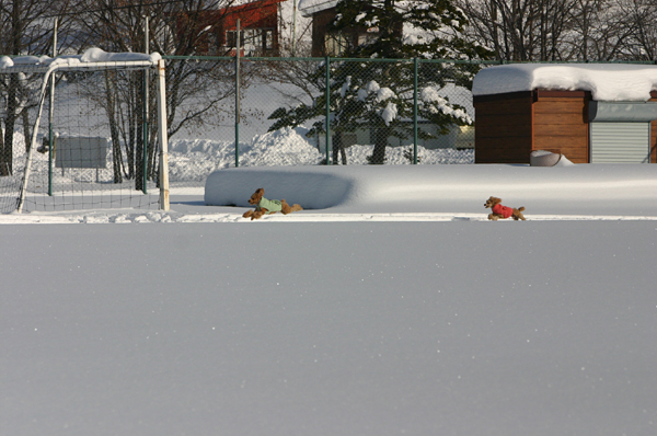 a0016311_21131445.jpg