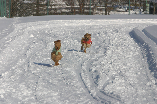 a0016311_21172668.jpg
