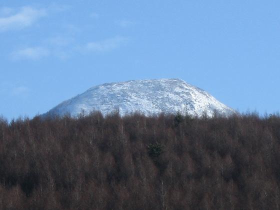 d0058317_10182457.jpg