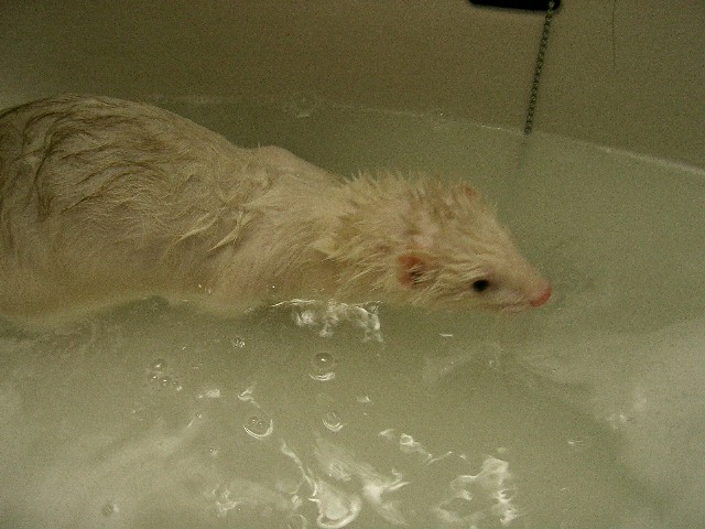 e0094218_14315193.jpg