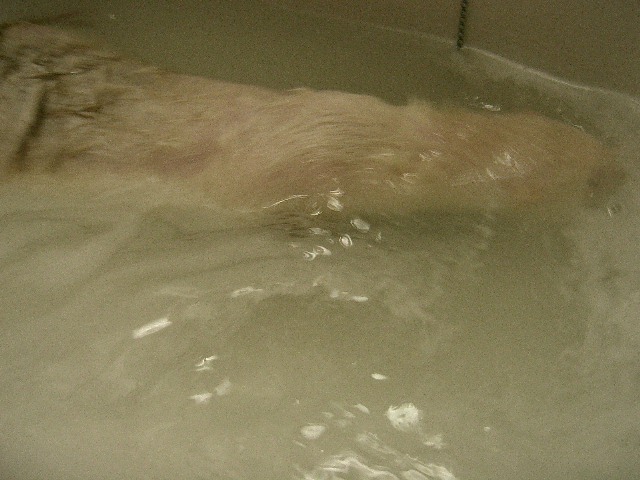 e0094218_14323987.jpg