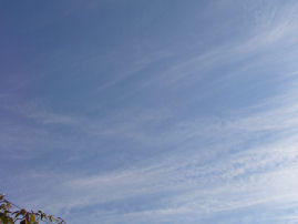 c0050522_18242721.jpg