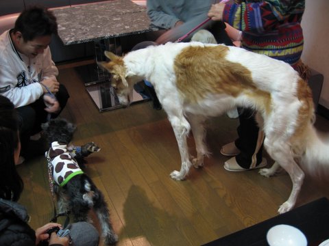 f0002532_15514745.jpg