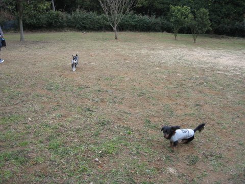f0002532_1618581.jpg