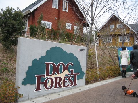 f0002532_16572361.jpg