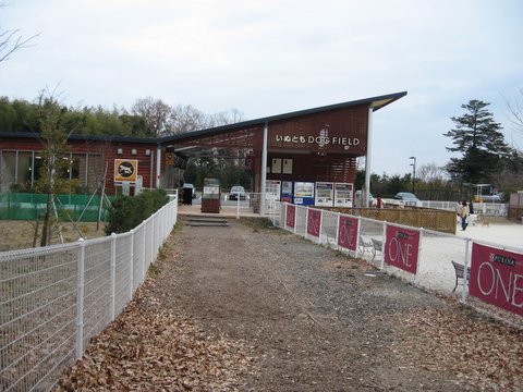 f0002532_16595824.jpg