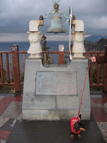 f0002532_1739749.jpg