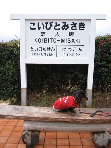 f0002532_17424665.jpg