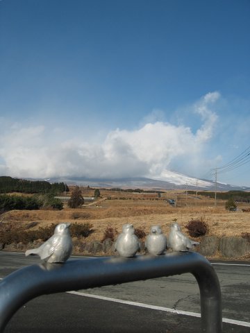 f0002532_1892682.jpg