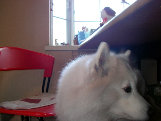 c0035838_1517666.jpg
