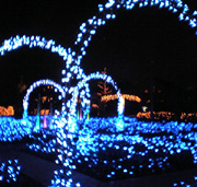 d0048140_2144478.jpg