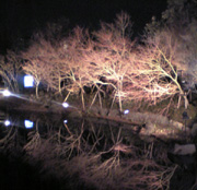 d0048140_2181146.jpg