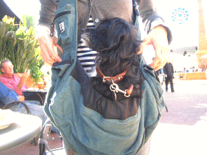 b0035453_5522668.gif