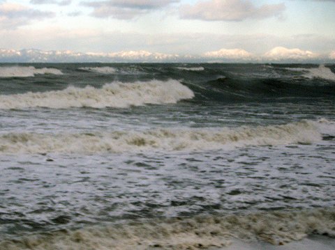 e0011161_10491336.jpg