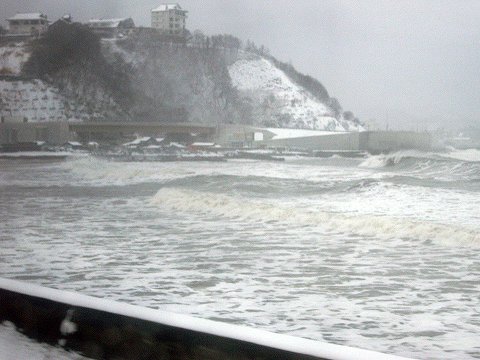 e0011161_11282.jpg