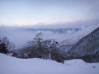 f0002265_2059994.jpg