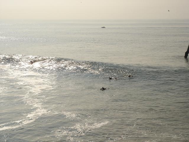 d0017567_2361126.jpg