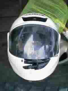 e0070468_4152697.jpg