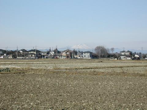 b0032079_0164712.jpg