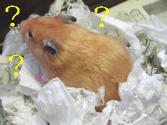 b0016983_8593877.jpg