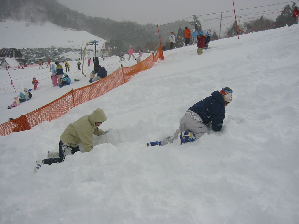f0013998_23323078.jpg