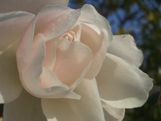 b0061107_1672985.jpg