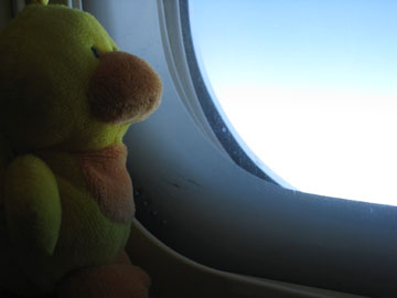 e0070916_12114893.jpg