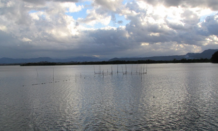 f0035016_14591583.jpg