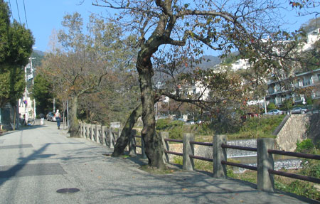 f0035016_15244261.jpg