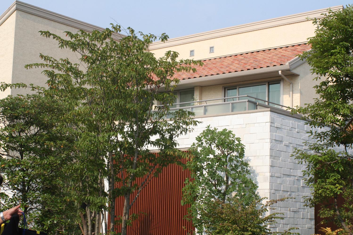 f0039219_20254088.jpg