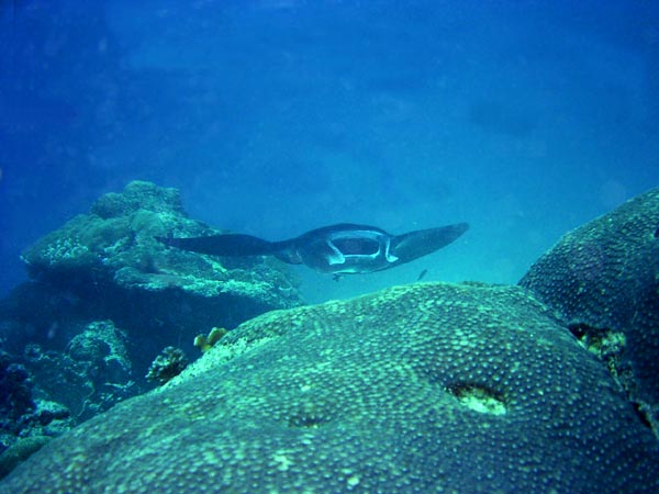 b0044726_8262687.jpg