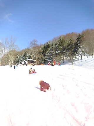 e0064128_120880.jpg