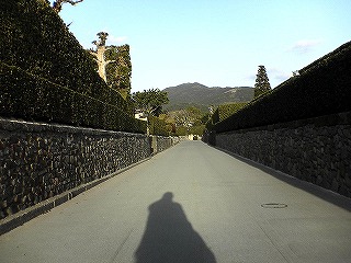 c0038334_21401746.jpg