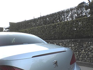 c0038334_23494891.jpg