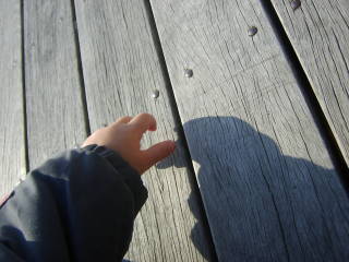 e0016135_2239543.jpg