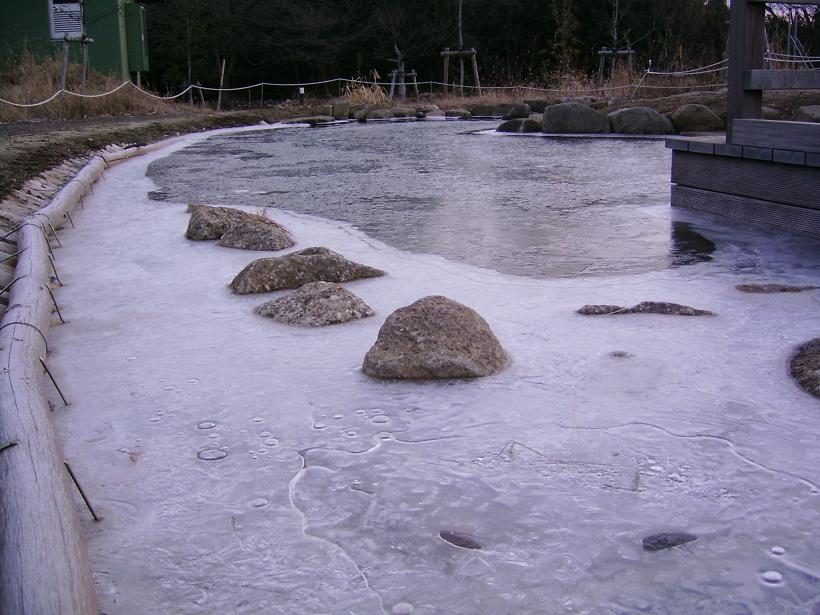 e0079435_228354.jpg
