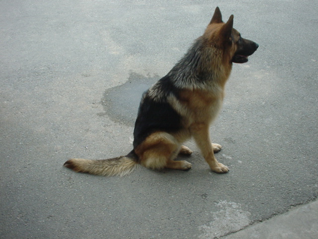 c0065643_155040100.jpg