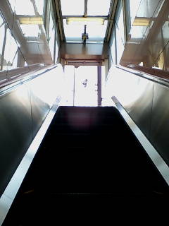 e0063653_949488.jpg
