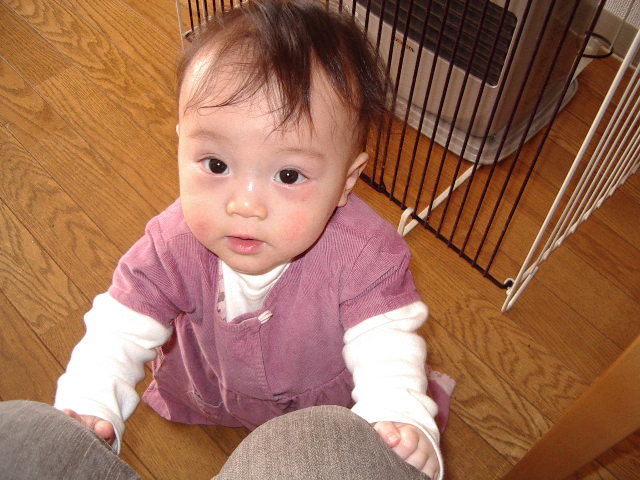 e0089272_2134696.jpg
