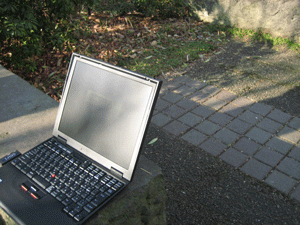 b0061376_1531352.gif