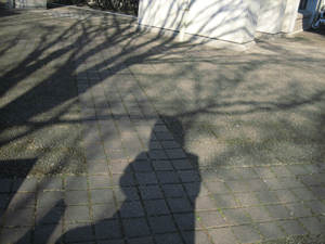 b0061376_1551085.gif