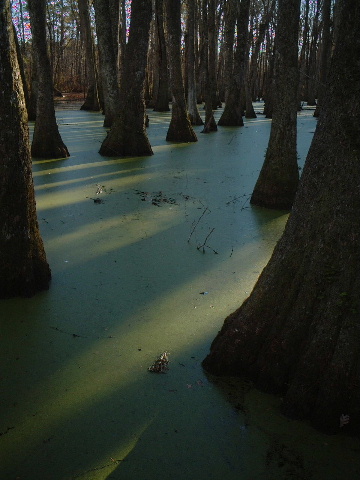 b0001284_012924.jpg