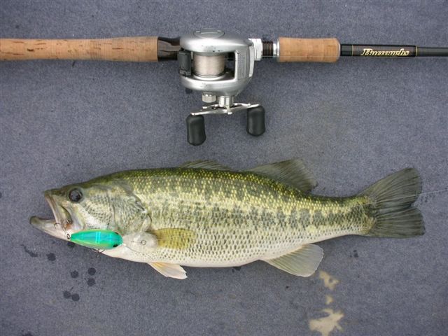 e0052088_2151287.jpg