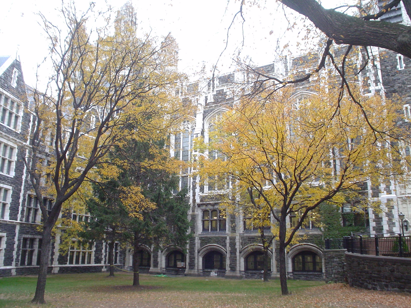 c0062495_52189.jpg