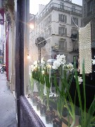 c0032799_7484366.jpg