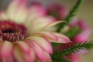 c0039205_1641116.jpg