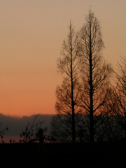 f0036716_17582729.jpg