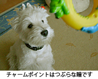 e0077142_012422.jpg